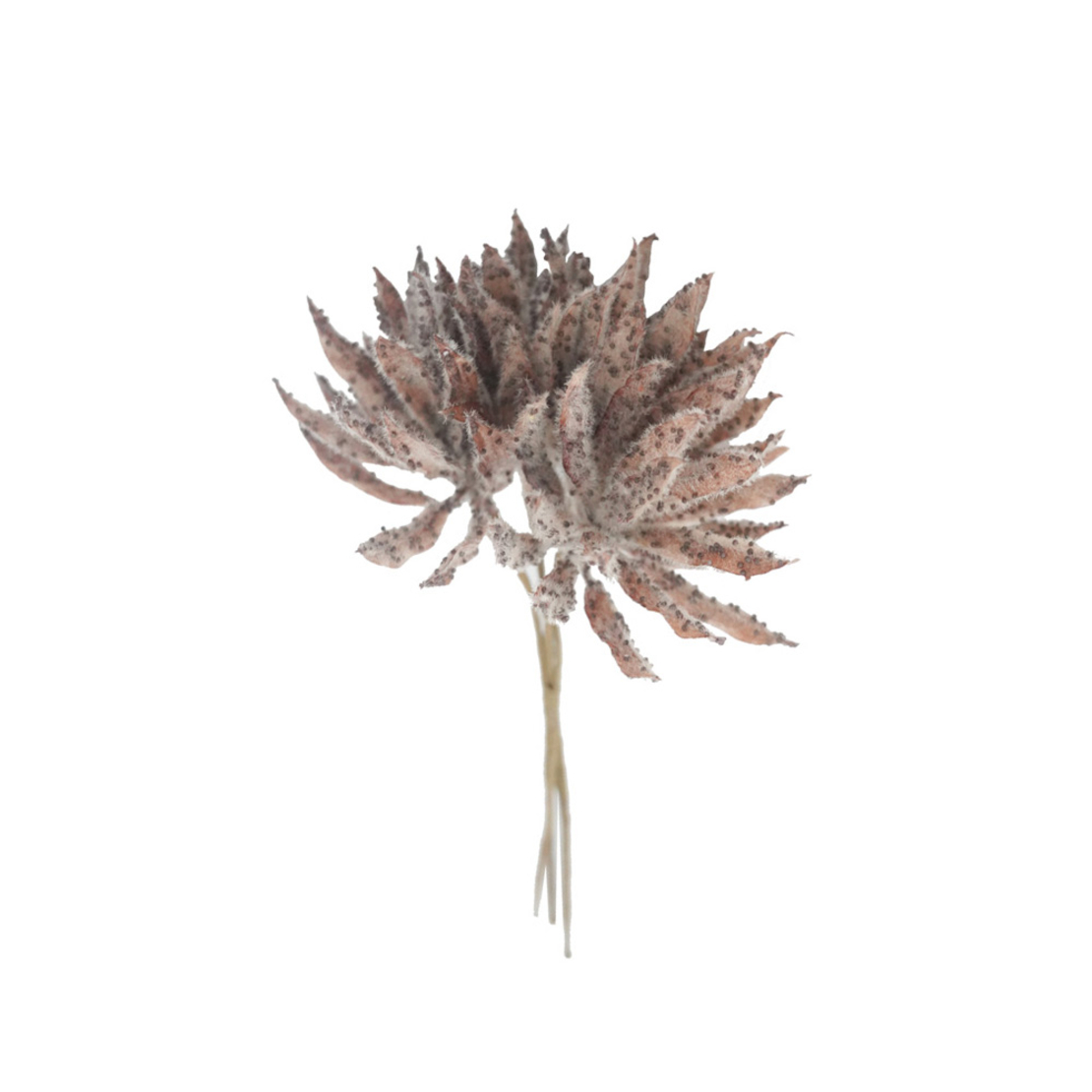AROMA BLOSSOMS ARTIFICIAL FLOWER FOAM PVC BROW H2