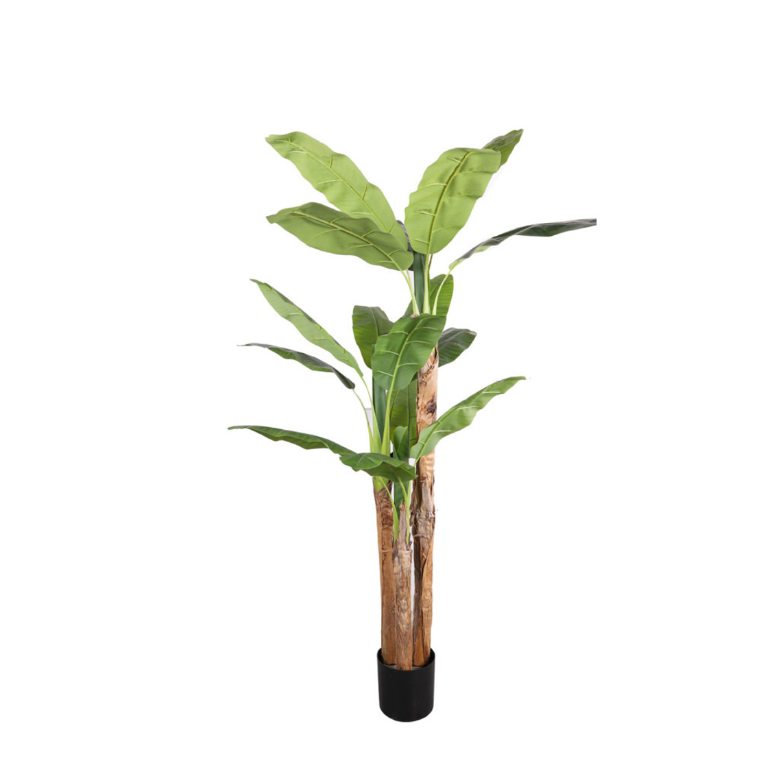 BANANA ARTIFICIAL PLANT IN POT GREEN BLACK H200cm
