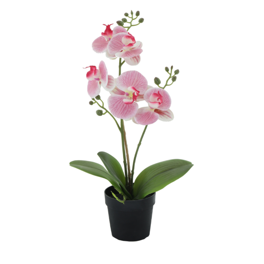 ORCHID 1 ARTIFICIAL PLANT PE/PP PEVA PINK GREEN H3