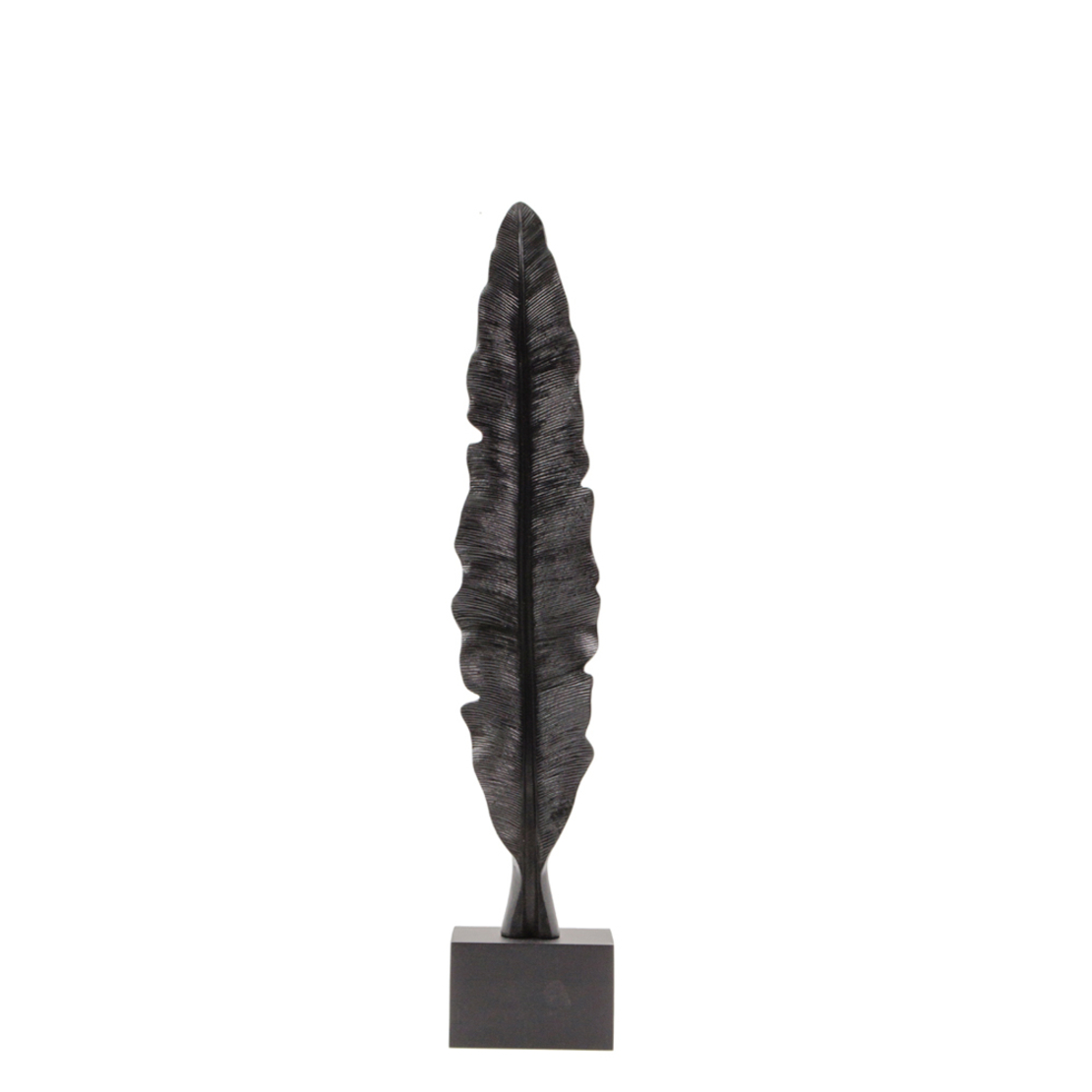 FEATHERS DECO FEATHER POLYRESIN BLACK 11x11xH58cm