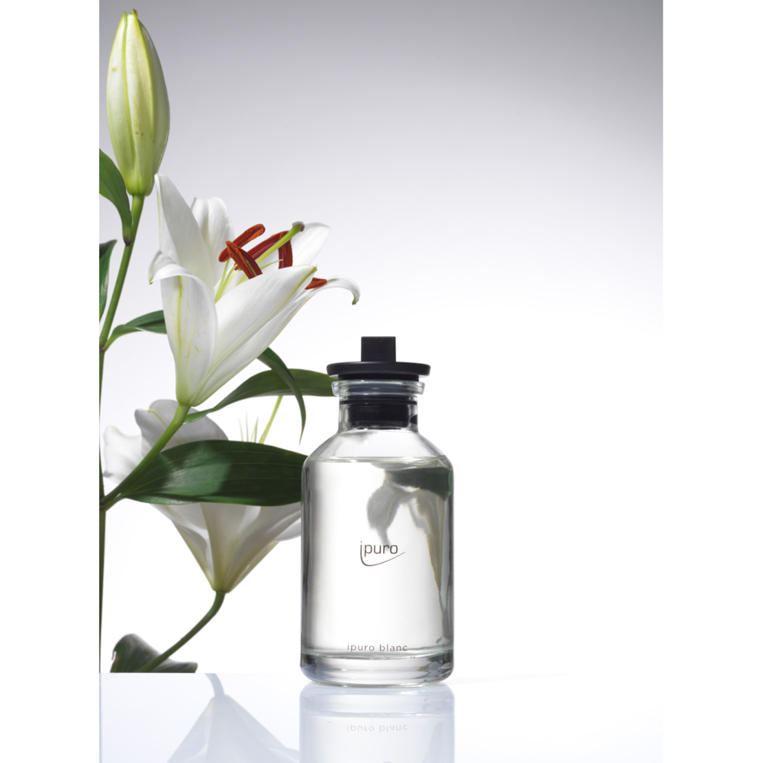 IPURO CLASSIC BLANC FRAGRANCE 240ml EU