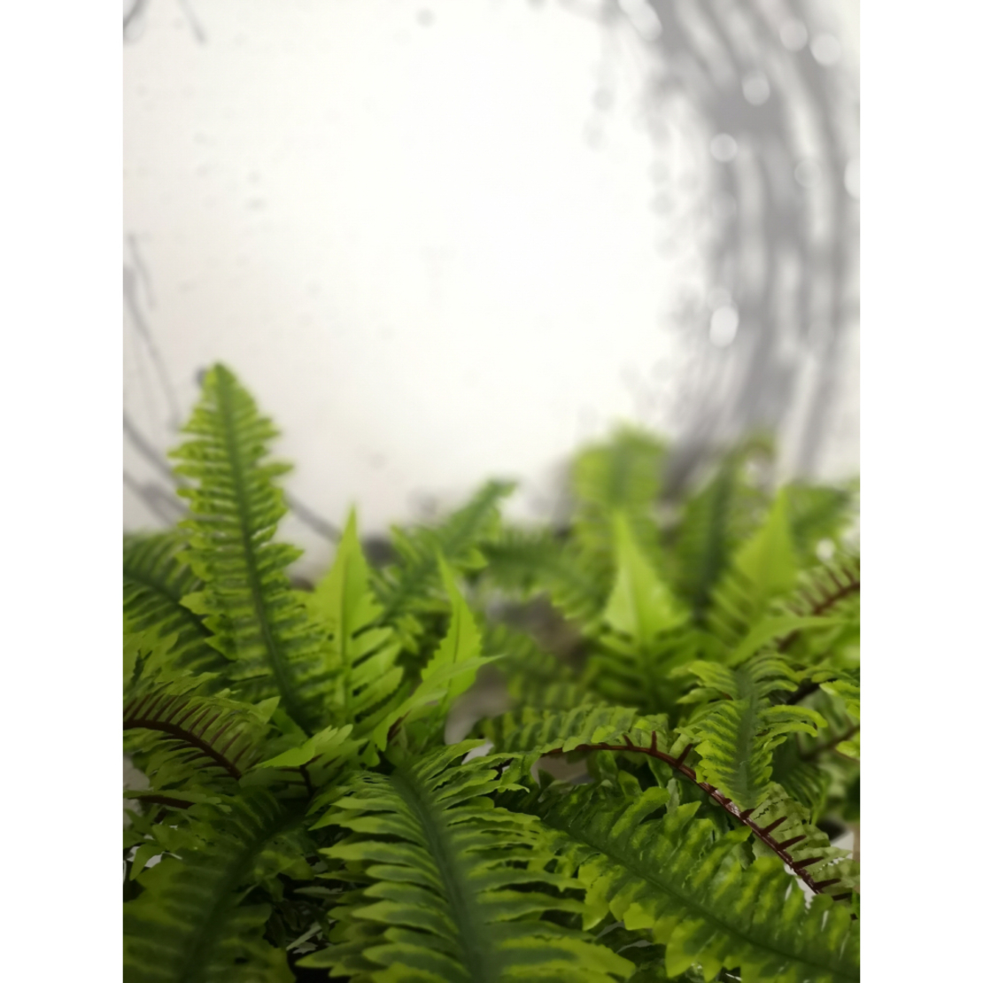 BOSTON FERN ARTIFICIAL PLANT POLYESTER PE/PP GREEN