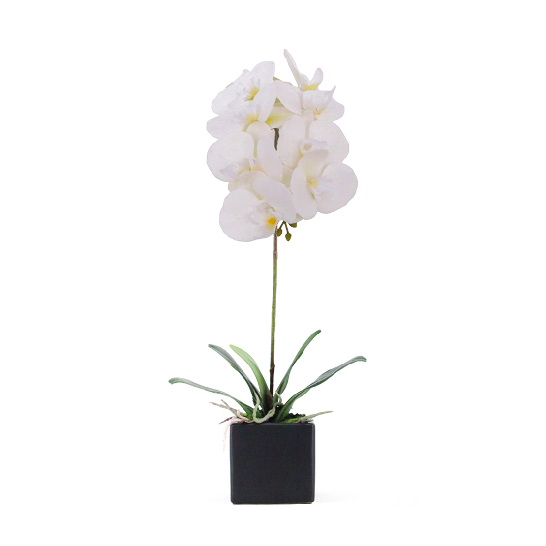 ORCHIDEA 4 ARTIFICIAL FLOWER PEVA CERAMIC WHITE H6