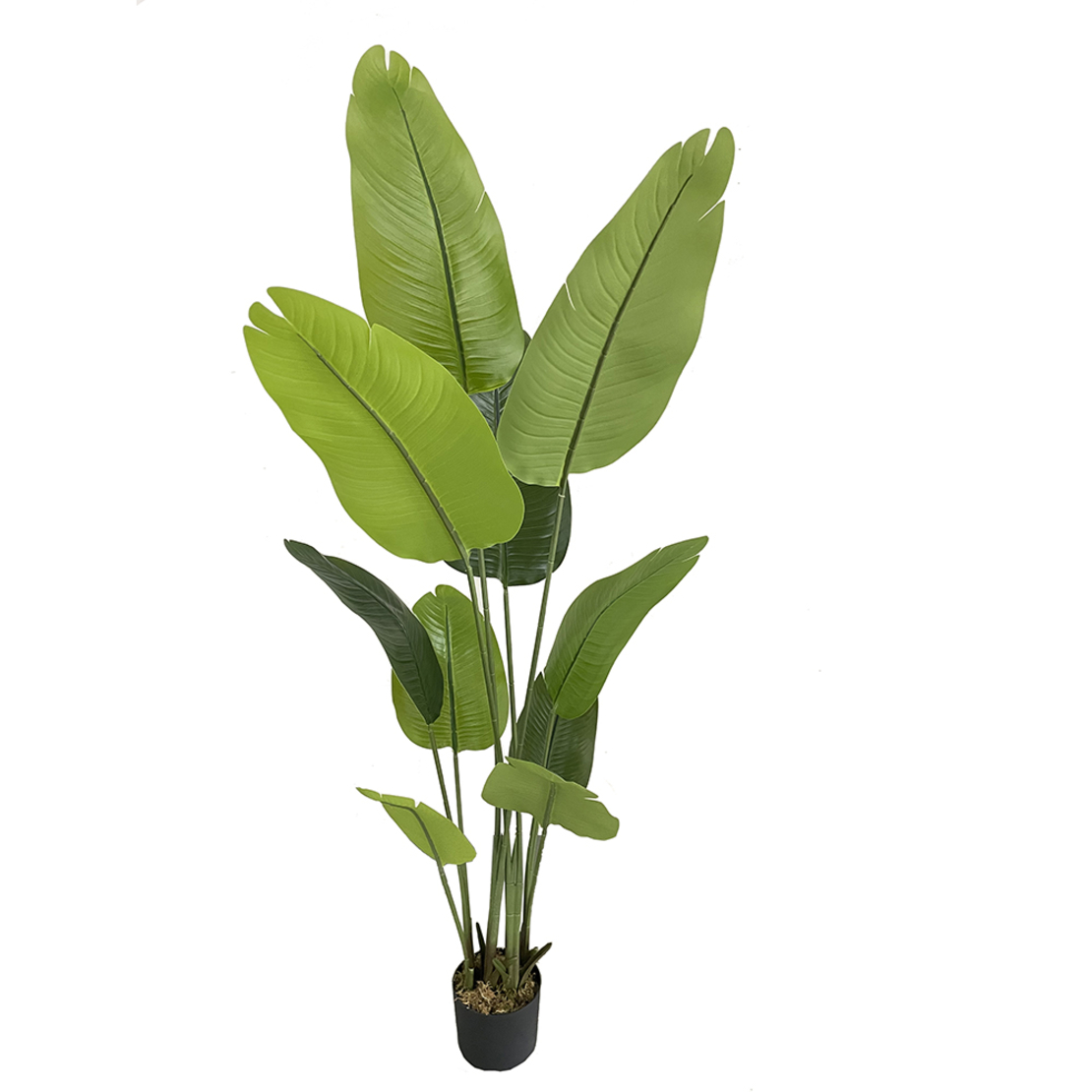 BANANA ARTIFICIAL PLANT IN POT PEVA GR H180cm P