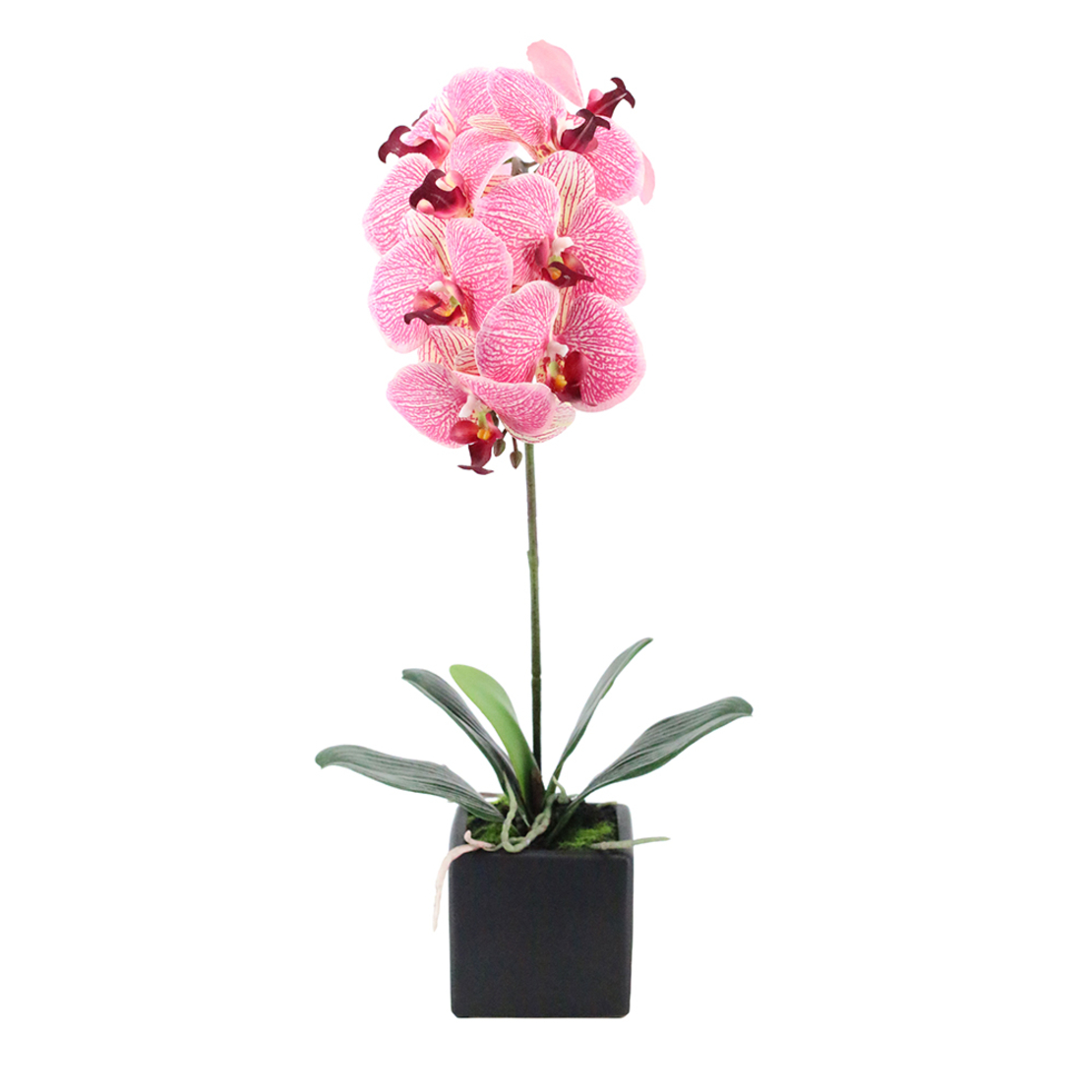 ORCHIDEA 4 ARTIFICIAL FLOWER PEVA CERAMIC PINK YEL