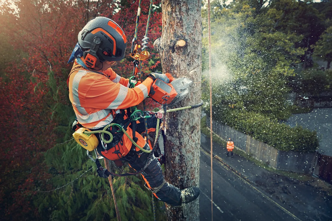 ARBORIST ШЛЕМ, SPIRE VENT