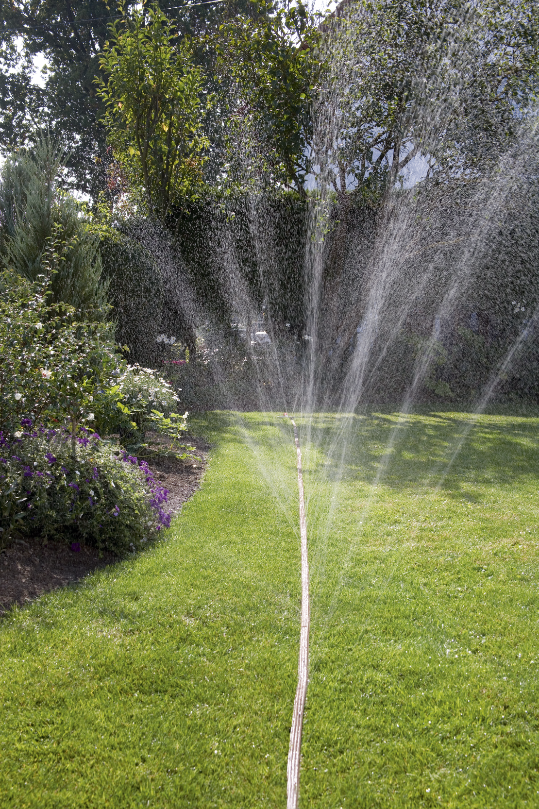 Разпръскващ маркуч