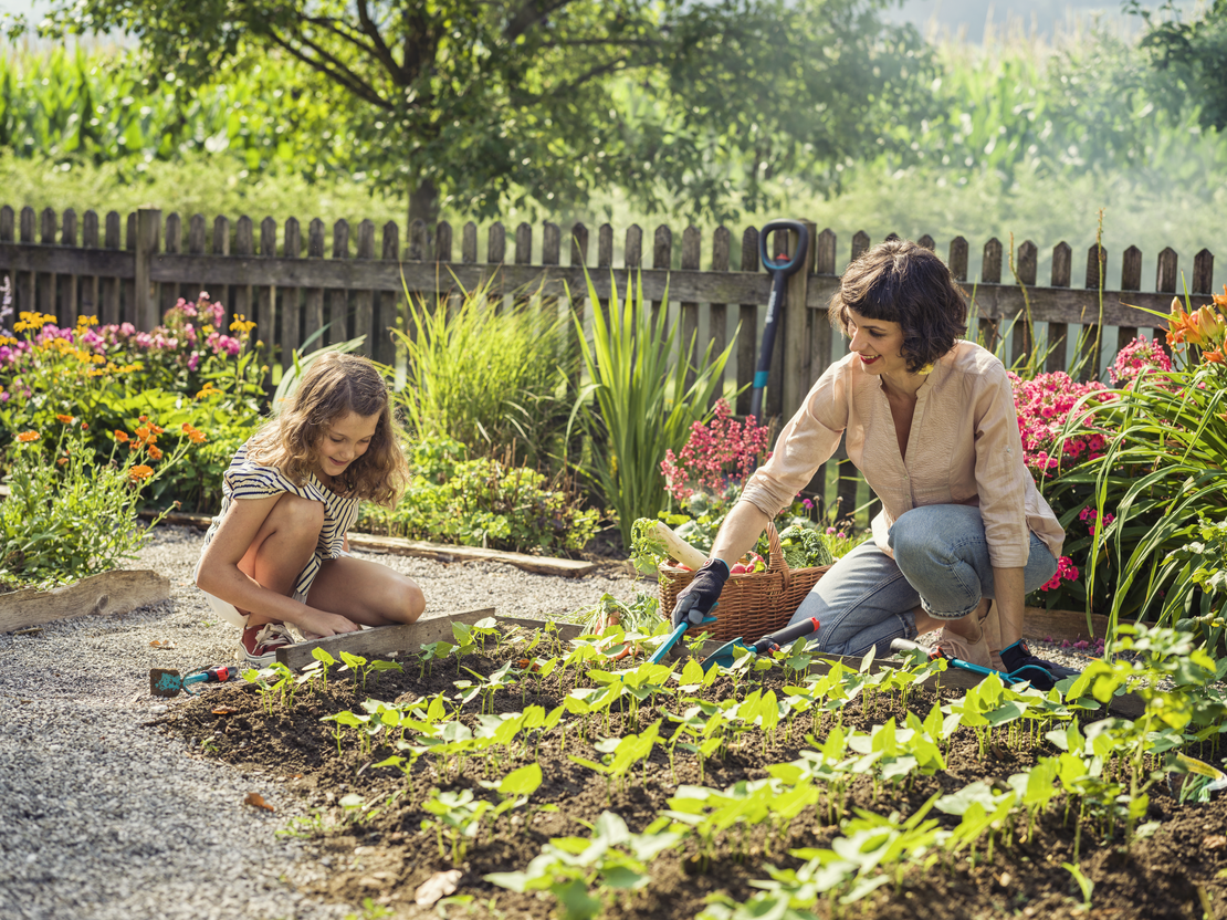 Лопатка combisystem