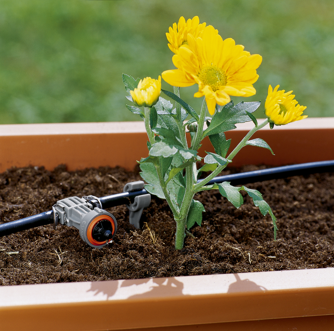 Редова капкова глава, изравняваща налягането