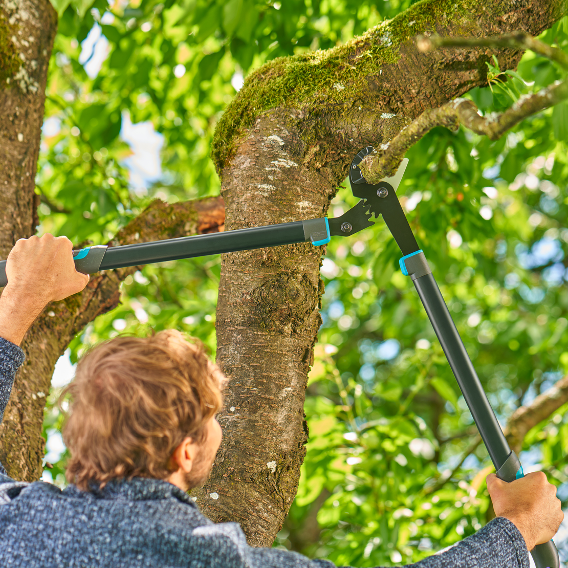 Pruning Lopper EnergyCut Pro L Anvil, Anvil Cut, Tree Loppers For Dry Wood