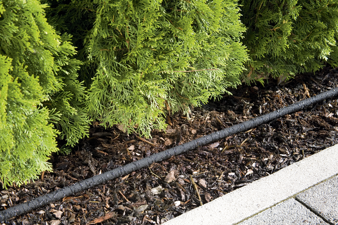 Сълзящ маркуч