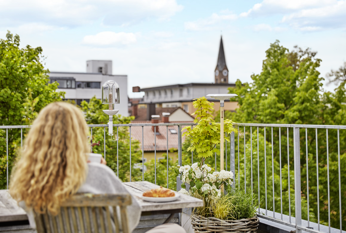 ClickUp! Басейнче за птици