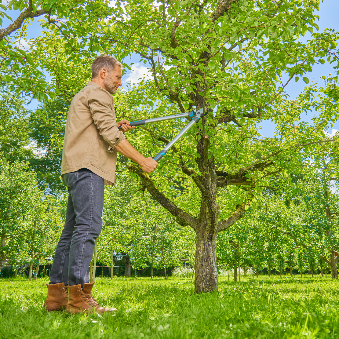 Pruning Lopper EasyCut L, Bypass Cut, ideal for Green Wood