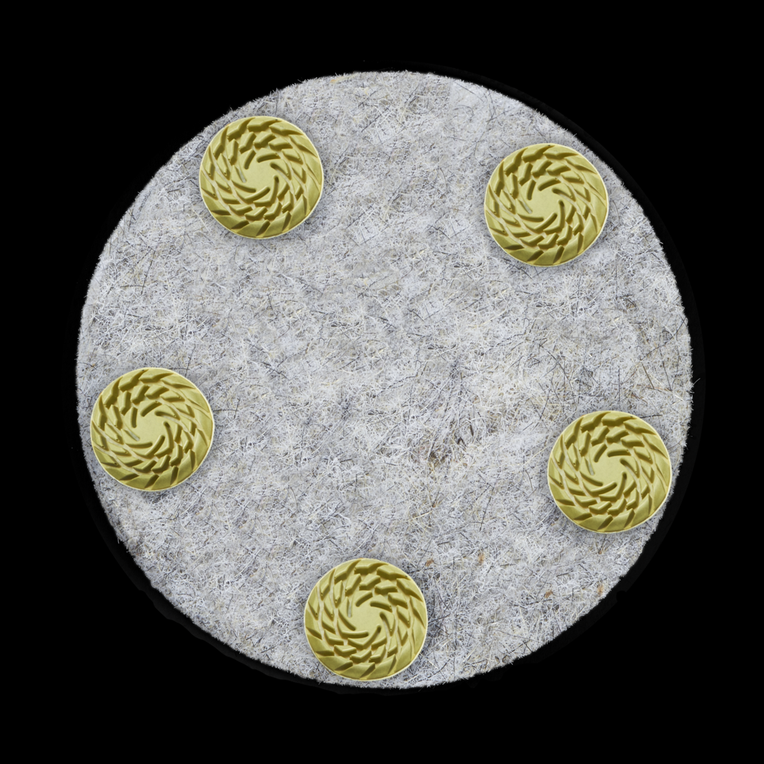 Husqvarna ELITE-POLISH™ EF W