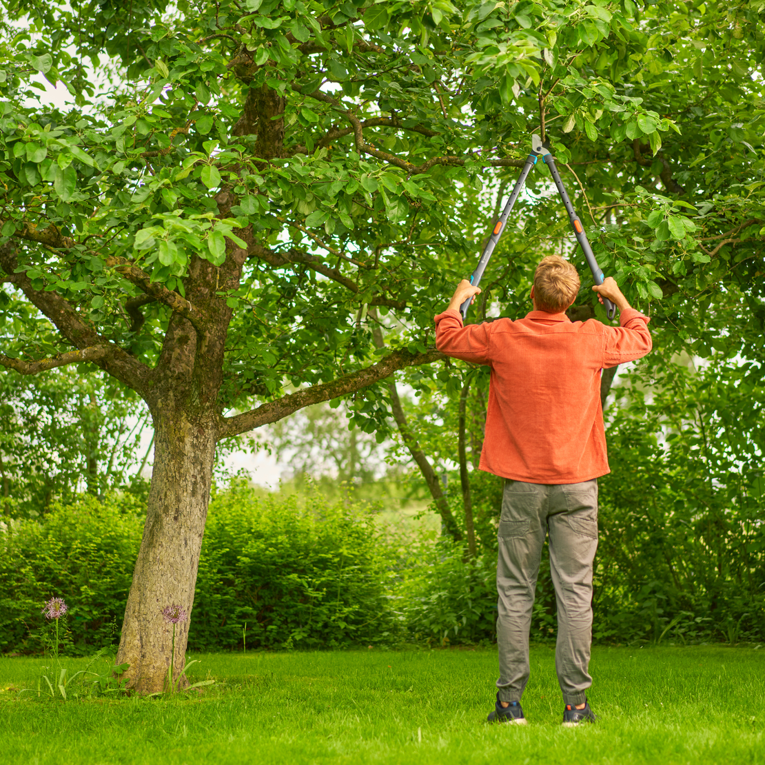 Pruning Lopper TeleCut Pro L, Telescoping Pruners For Green Wood