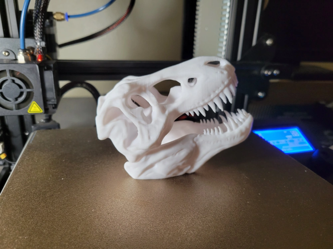 T-REX skull декорация