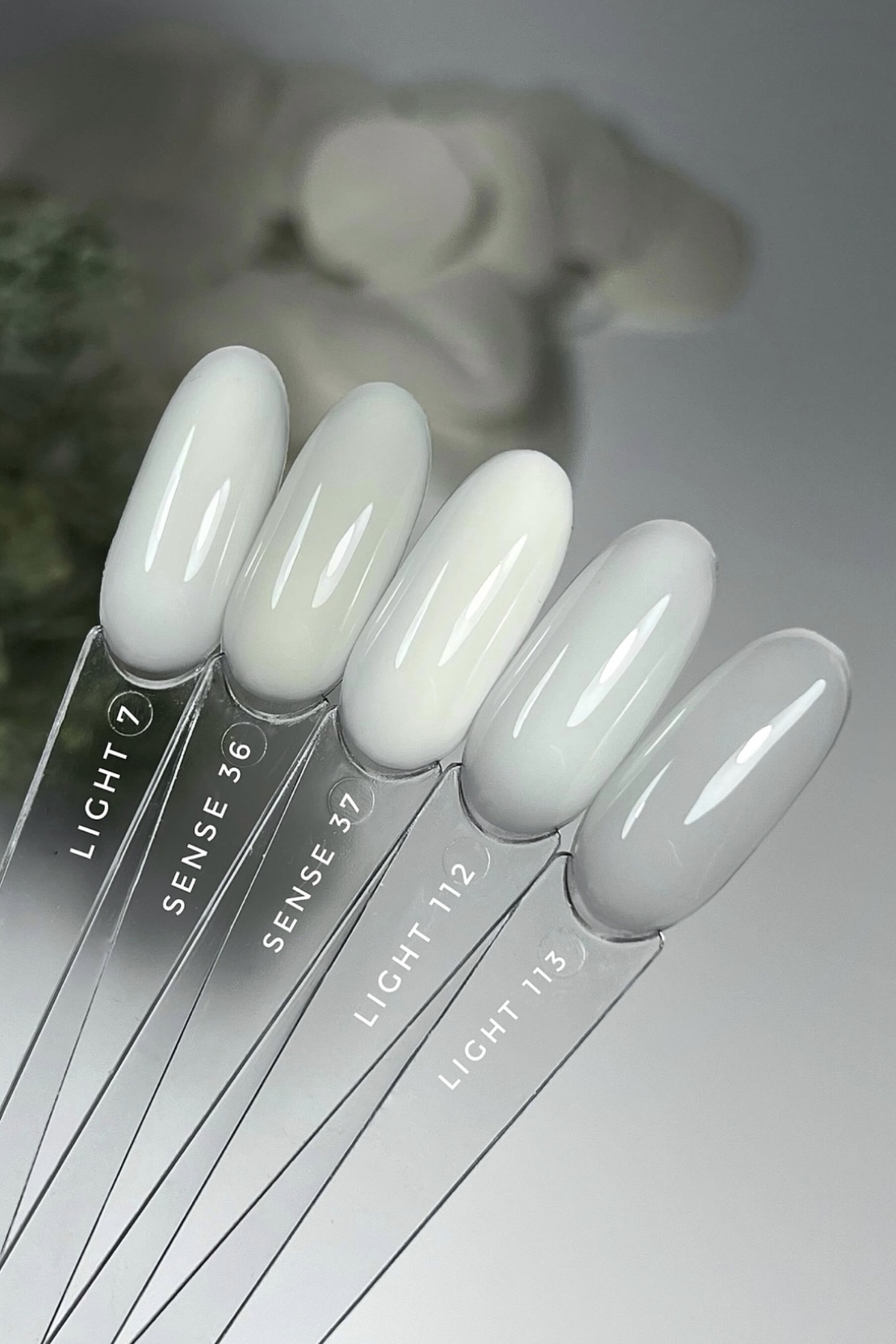 Light 113