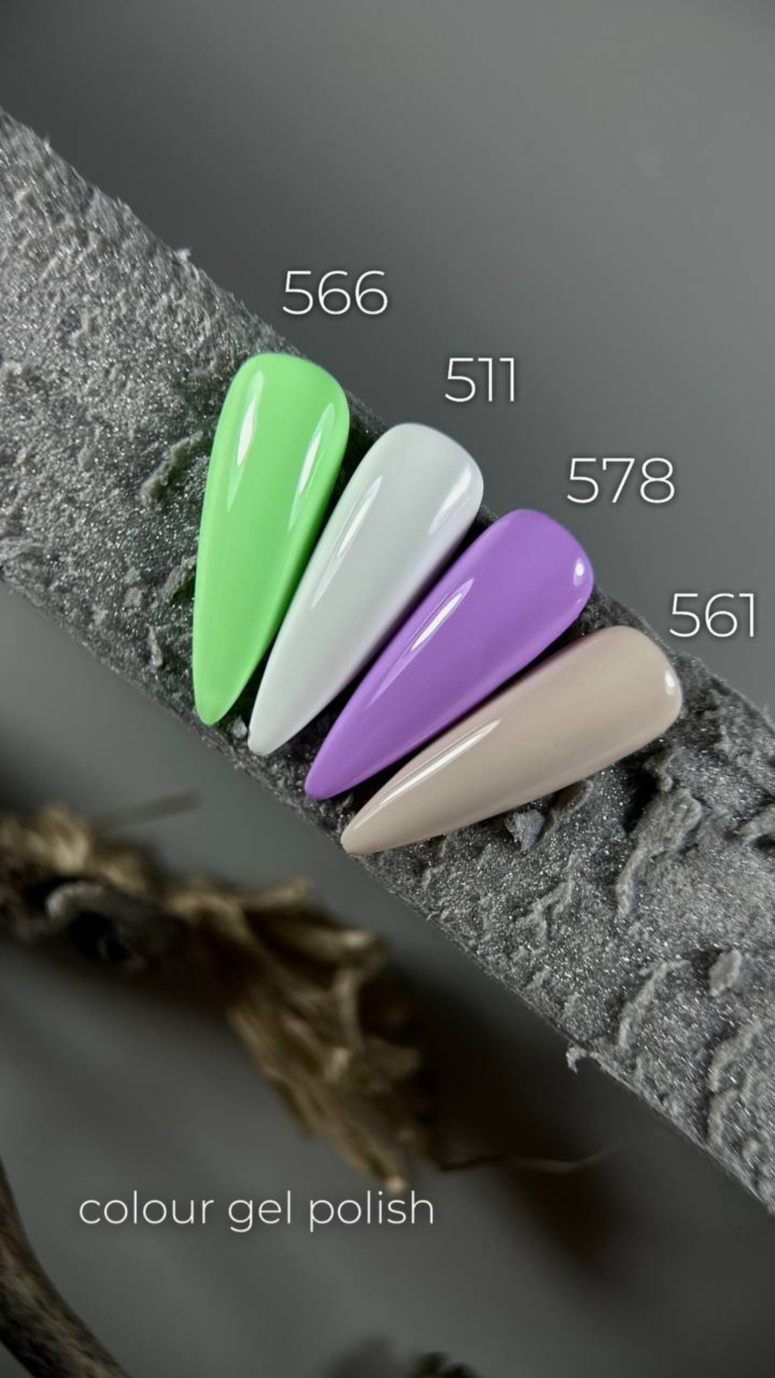 Weex 561