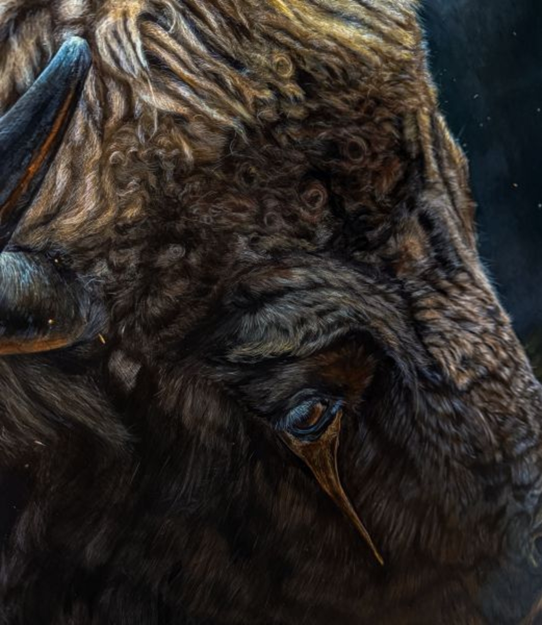 Buffalo