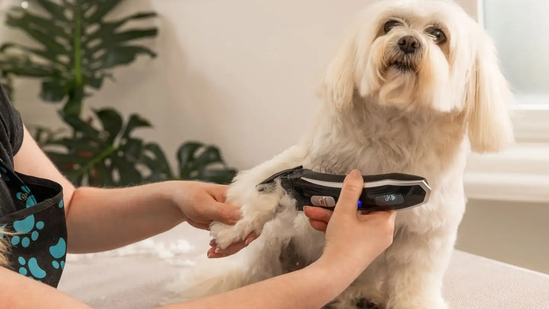 🐕 Безжична машинка за подстригване на кучета WAHL Smart Clip