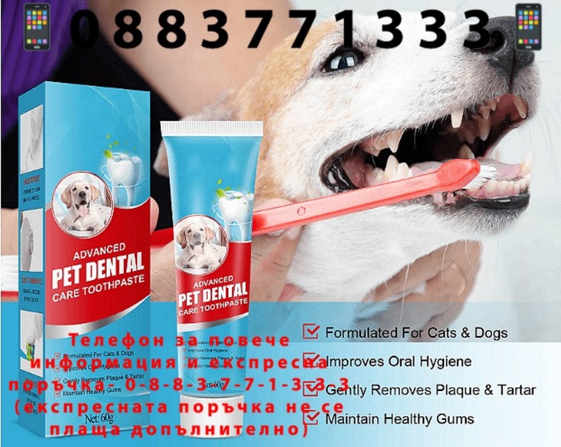 НЕМСКА Паста за зъби за почистване на кучешки зъби, Предназначена да помогне за предотвратяване на зъбен камък + ЛЕД ФЕНЕР