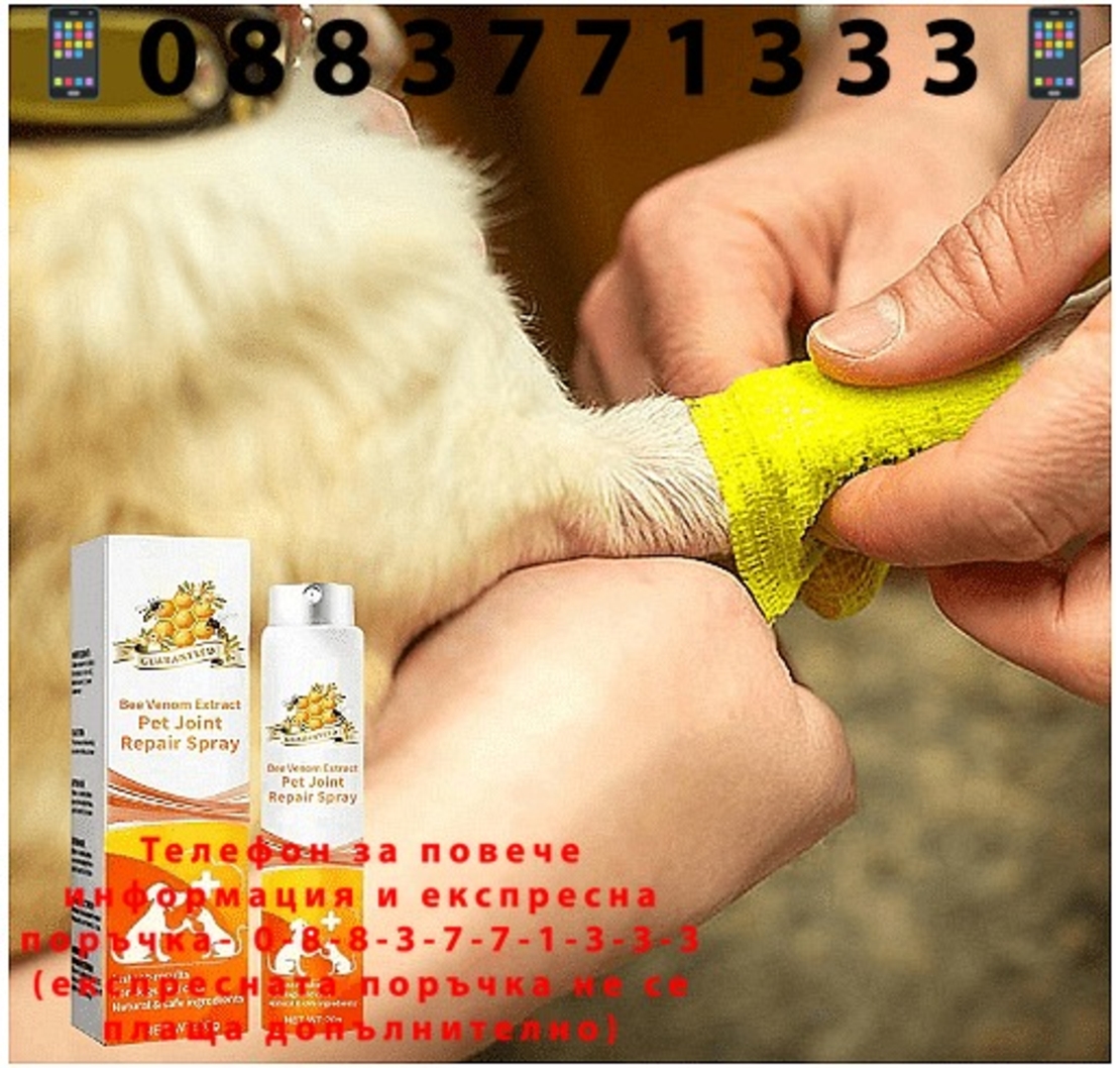 НЕМСКИ Успокояващ спрей за възстановяване на стави, Натурален спрей, За сила и гъвкавост, Облекчаване на дискомфорта при домашни любимци + ЛЕД ФЕНЕР
