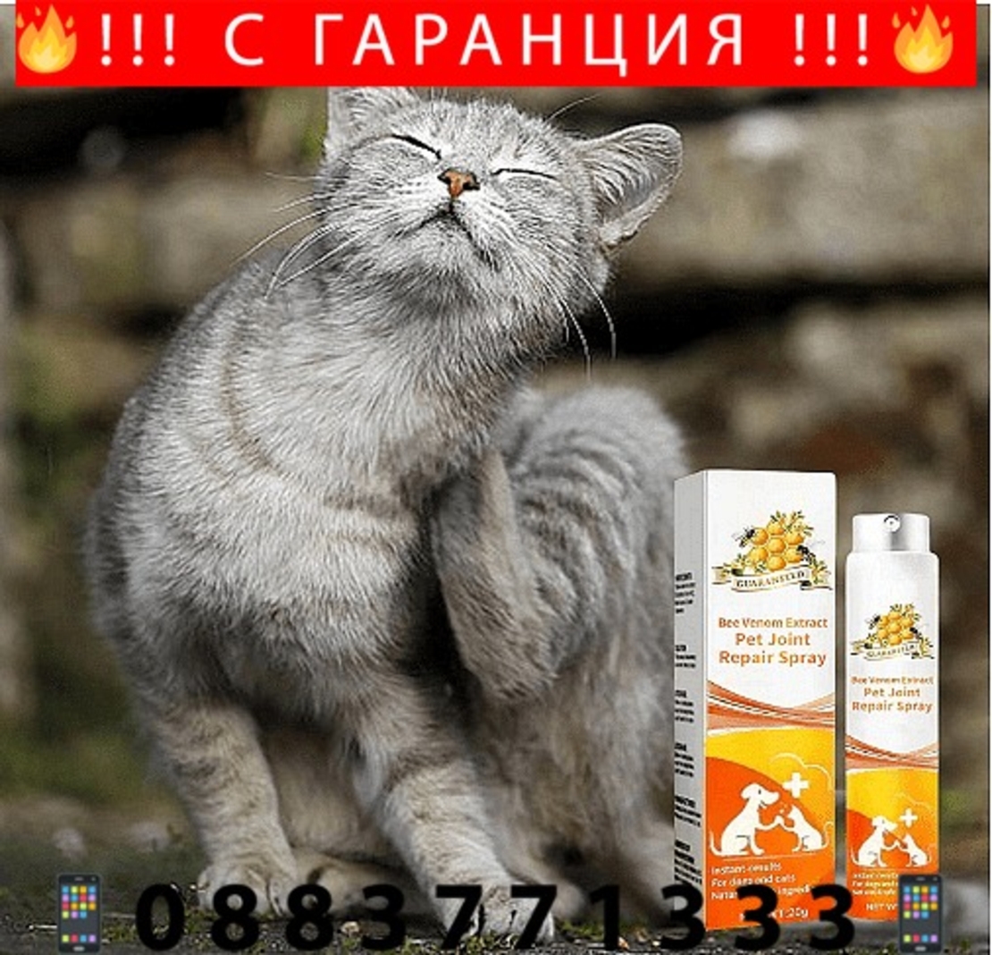 НЕМСКИ Успокояващ спрей за възстановяване на стави, Натурален спрей, За сила и гъвкавост, Облекчаване на дискомфорта при домашни любимци + ЛЕД ФЕНЕР