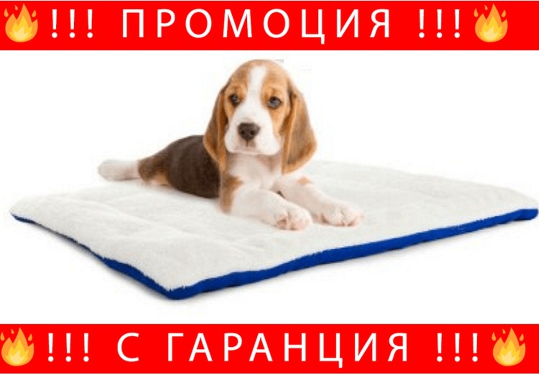 НЕМСКИ Кучешко легло диван от текстил, 54см x 44см x 2,5см, Синьо + ЛЕД ФЕНЕР