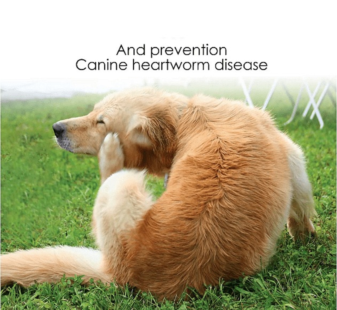 НЕМСКИ Капки против бълхи, кърлежи и въшки за домашни любимци, Ефективен контрол на вредителите + ЛЕД ФЕНЕР