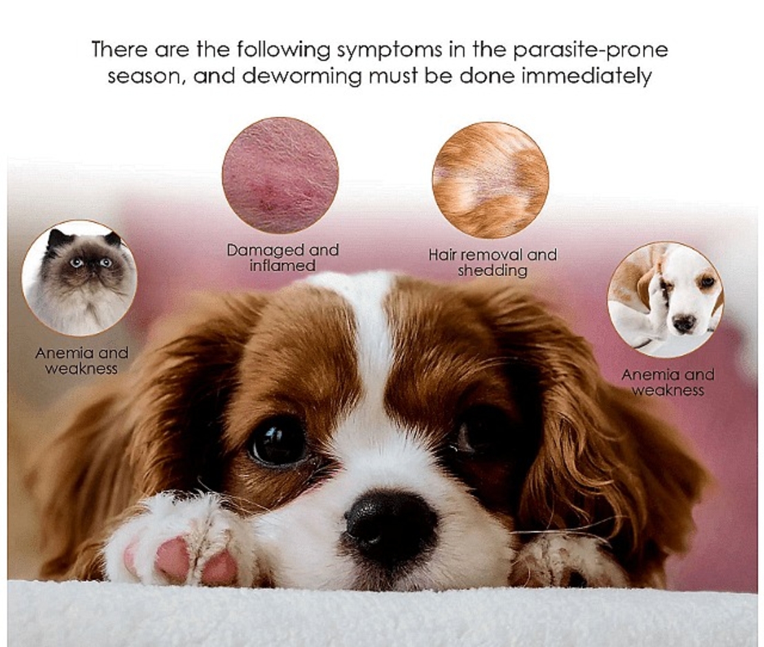 НЕМСКИ Капки против бълхи, кърлежи и въшки за домашни любимци, Ефективен контрол на вредителите + ЛЕД ФЕНЕР