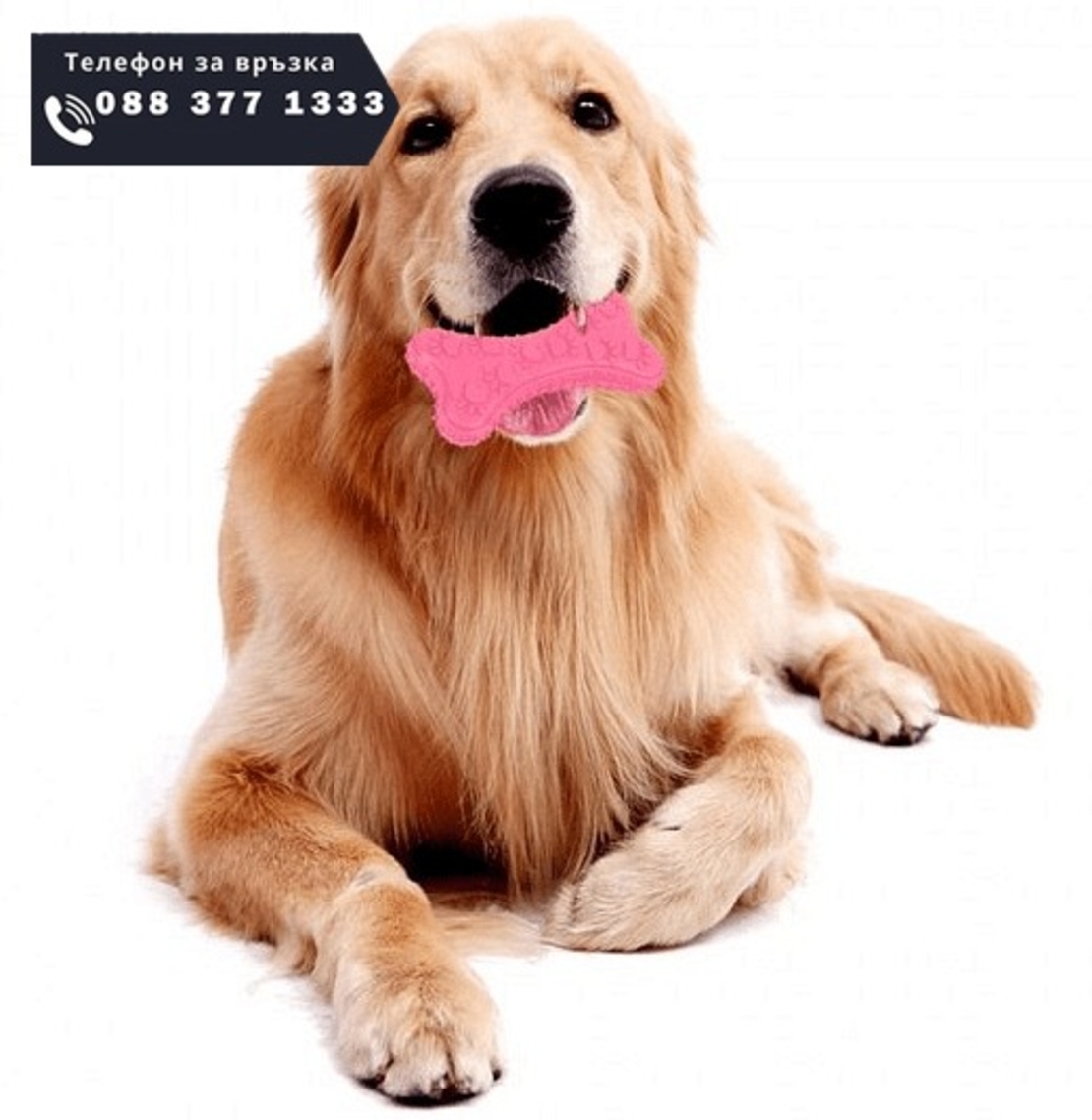 НЕМСКА Дентална играчка за кучета във формата на кокал + ЛЕД ФЕНЕР