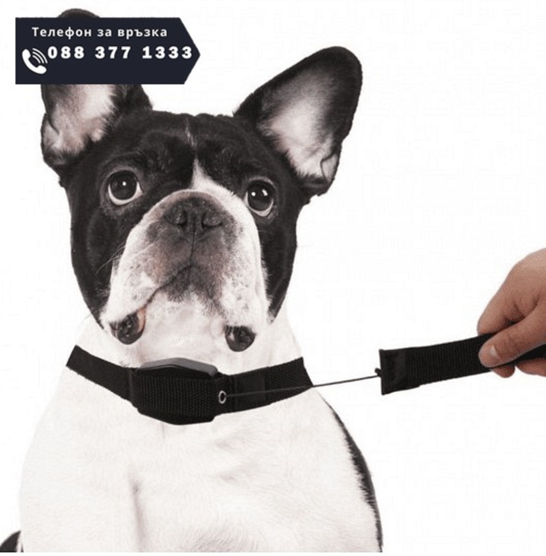 НЕМСКИ Нашийник за куче с вграден повод, Lucky Leash, 105 см. дълъг и има магнит + ЛЕД ФЕНЕР