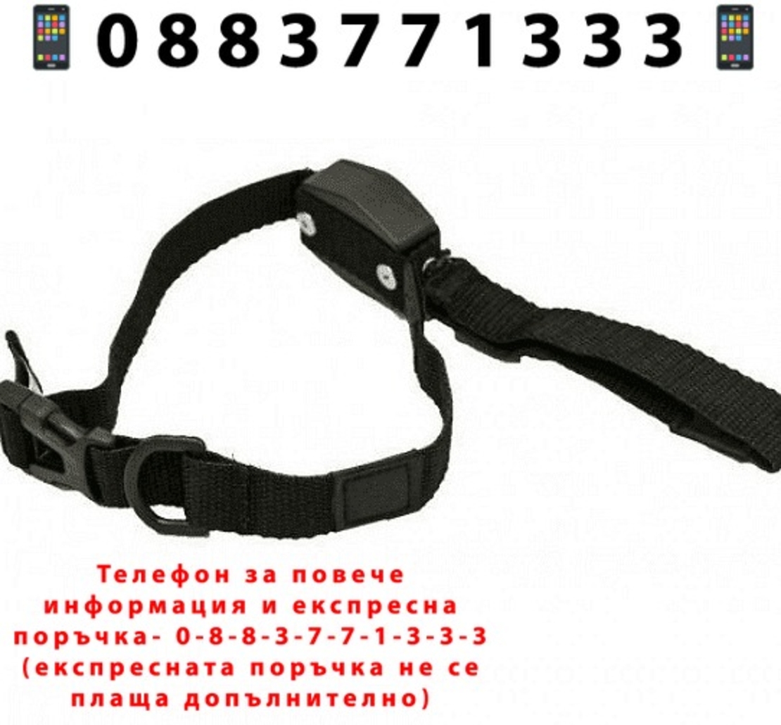 НЕМСКИ Нашийник за куче с вграден повод, Lucky Leash, 105 см. дълъг и има магнит + ЛЕД ФЕНЕР