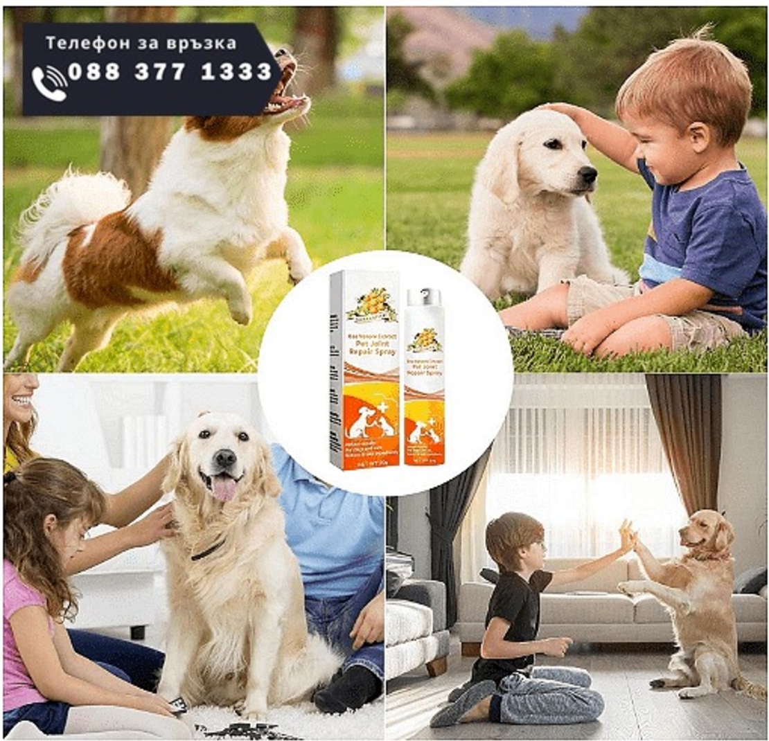 НЕМСКИ Успокояващ спрей за възстановяване на стави, Натурален спрей, За сила и гъвкавост, Облекчаване на дискомфорта при домашни любимци + ЛЕД ФЕНЕР