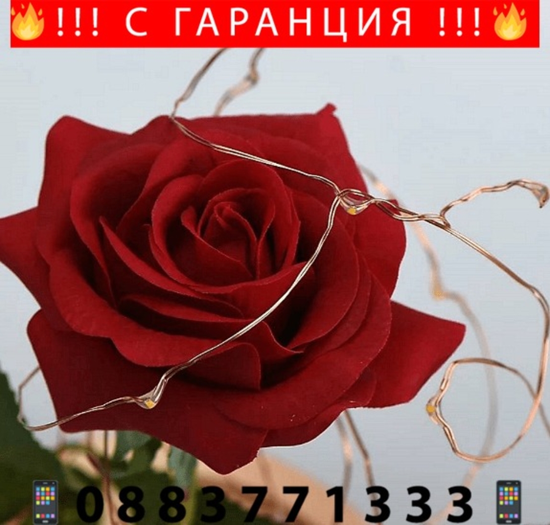 НЕМСКА Светеща роза в стъкленица + ЛЕД ФЕНЕР.