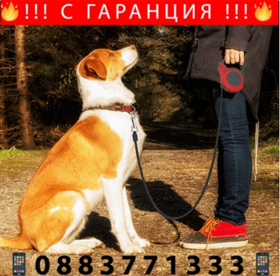 НЕМСКА Aвтоматична прибираща се каишка за кучета 5 метра, Снабдена със спирачка, Червена + ЛЕД ФЕНЕР