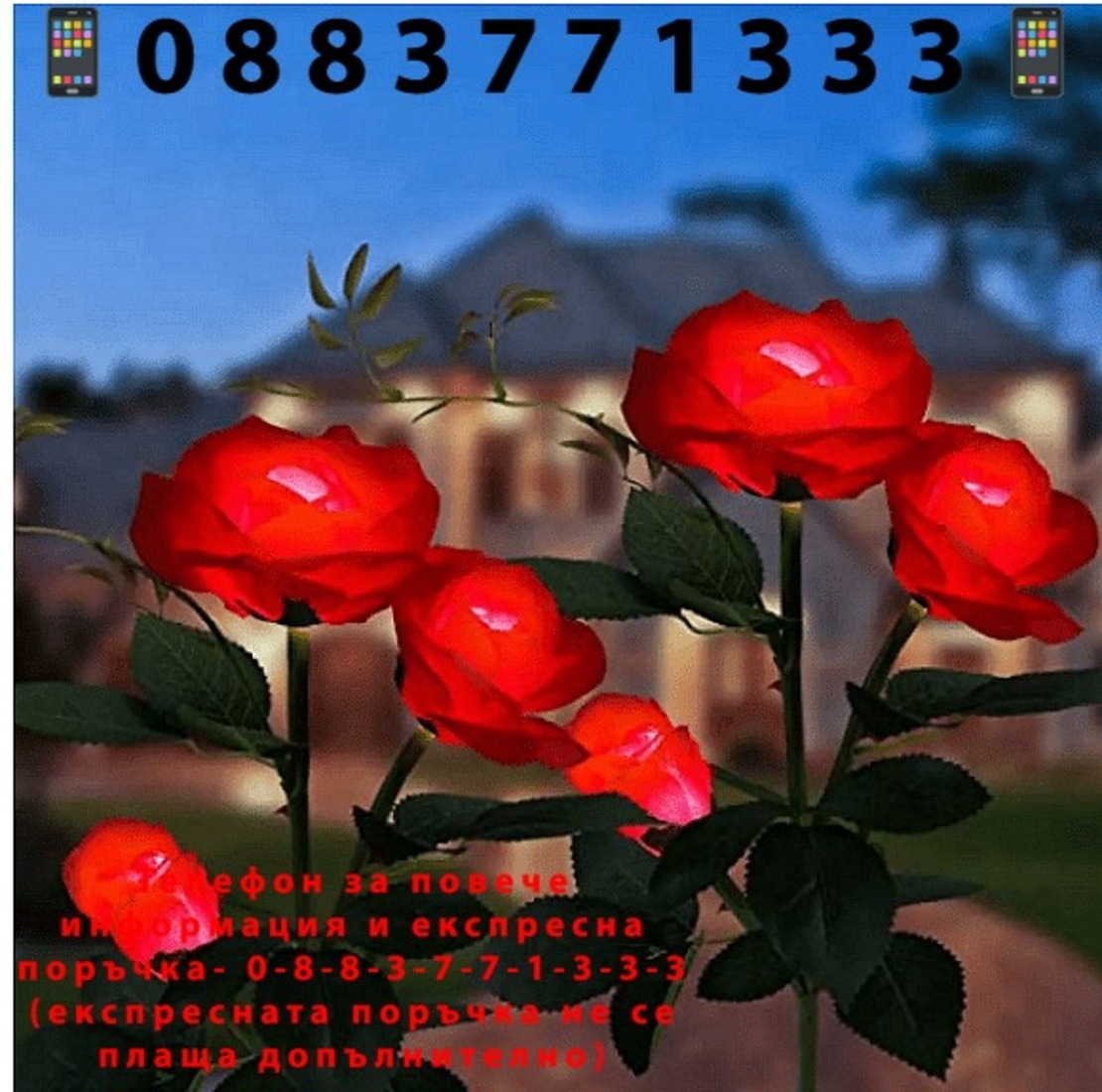 НЕМСКА LED слънчева лампа под формата на червена роза, За градина, Двор, Водоустойчивост + ЛЕД ФЕНЕР