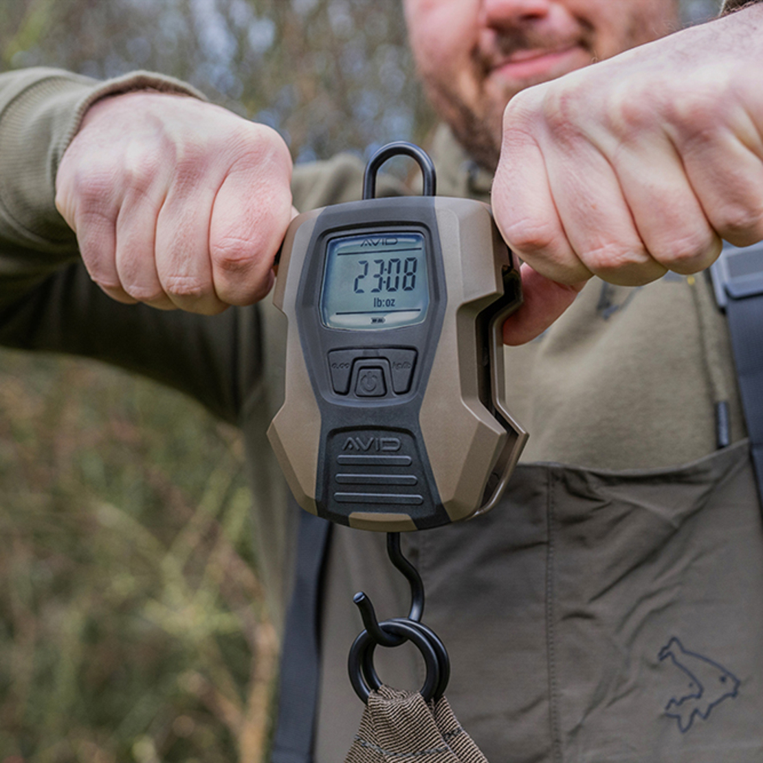 AVID DIGITALYAL SCALES