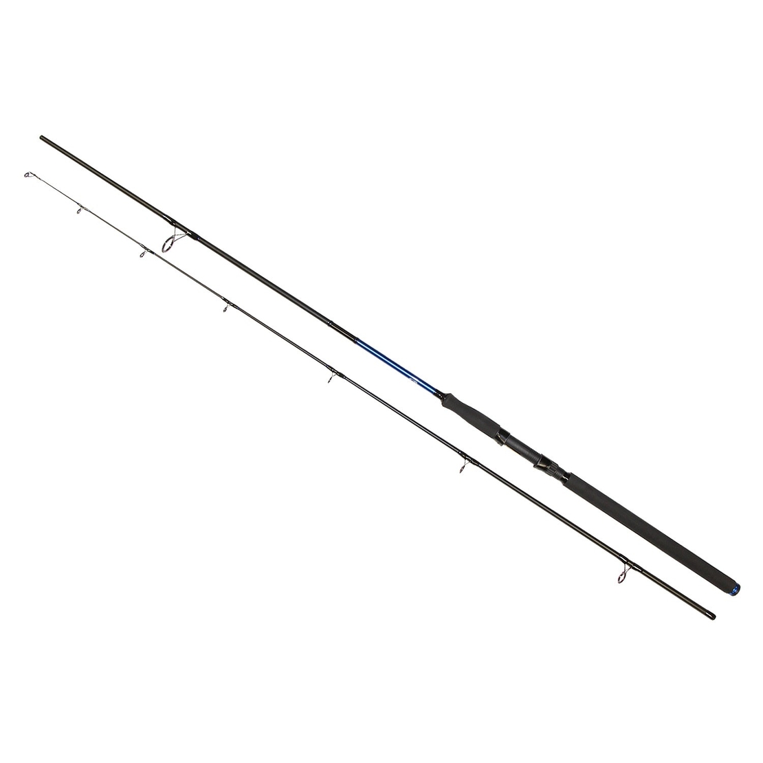 Golden Catch Rod Passion Power 3.00m 40-125g