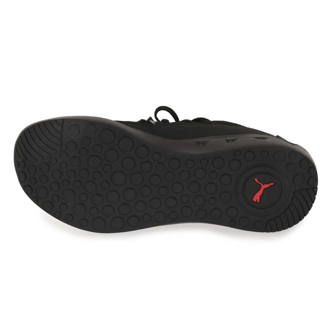PUMA SOFTRIDE CARSON FRESH 31015504