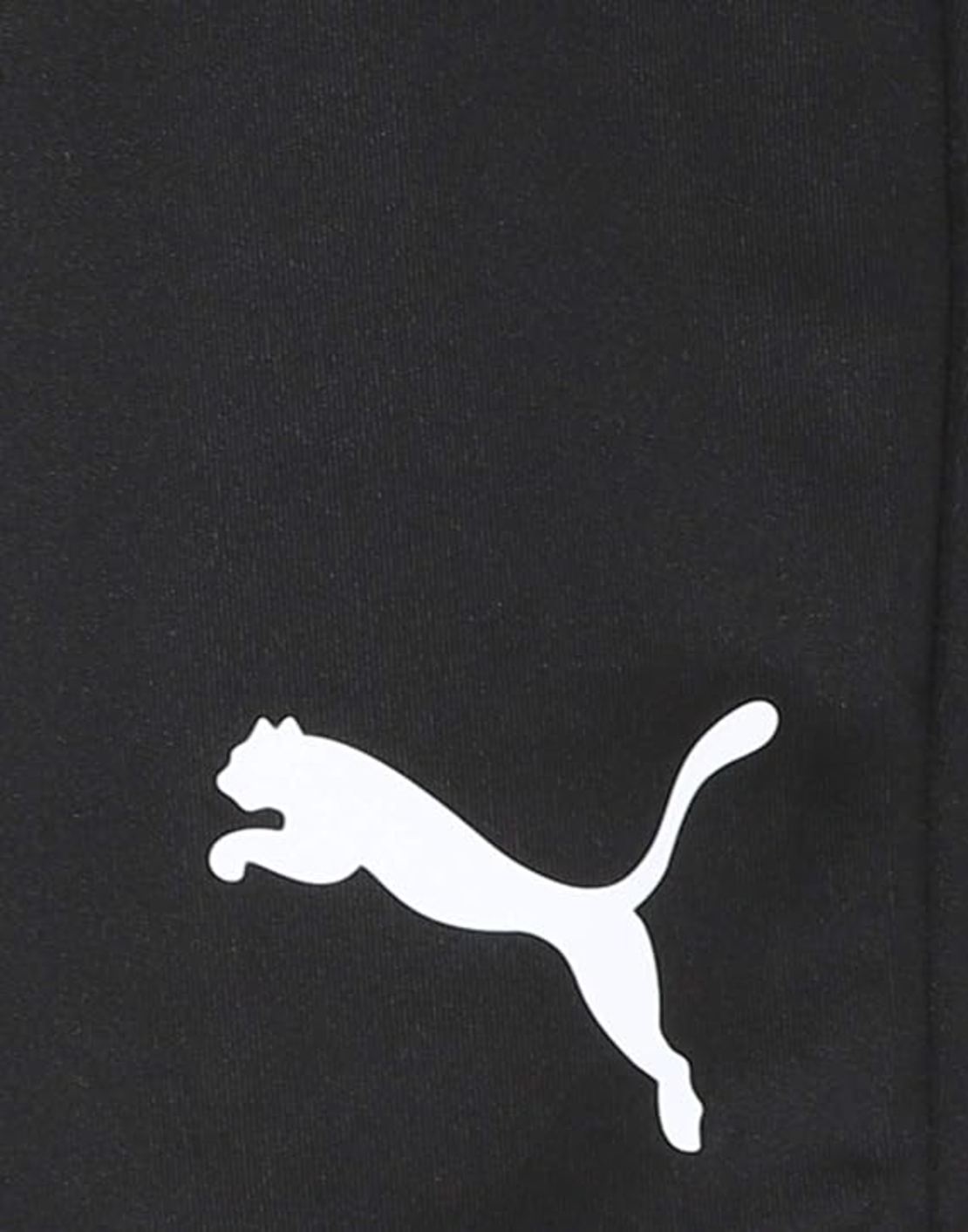 PUMA FTBIPLAY SHORTS