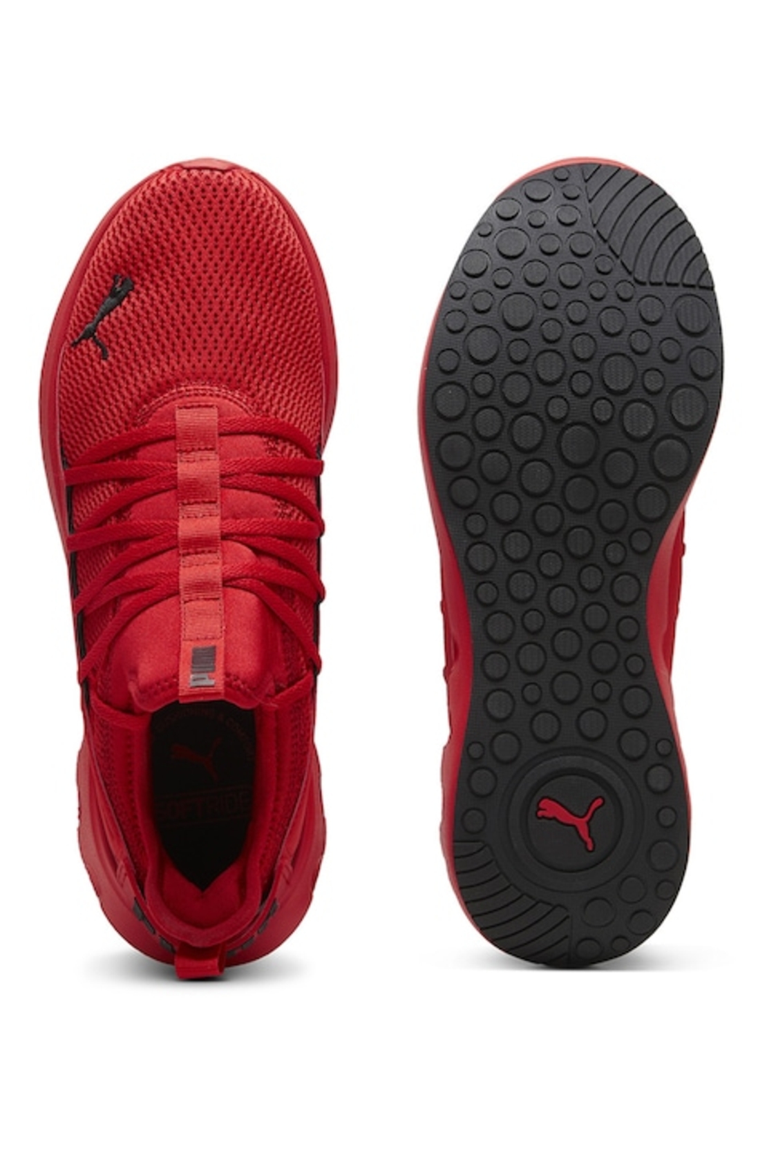PUMA SOFTRIDE CARSON FRESH 3105503