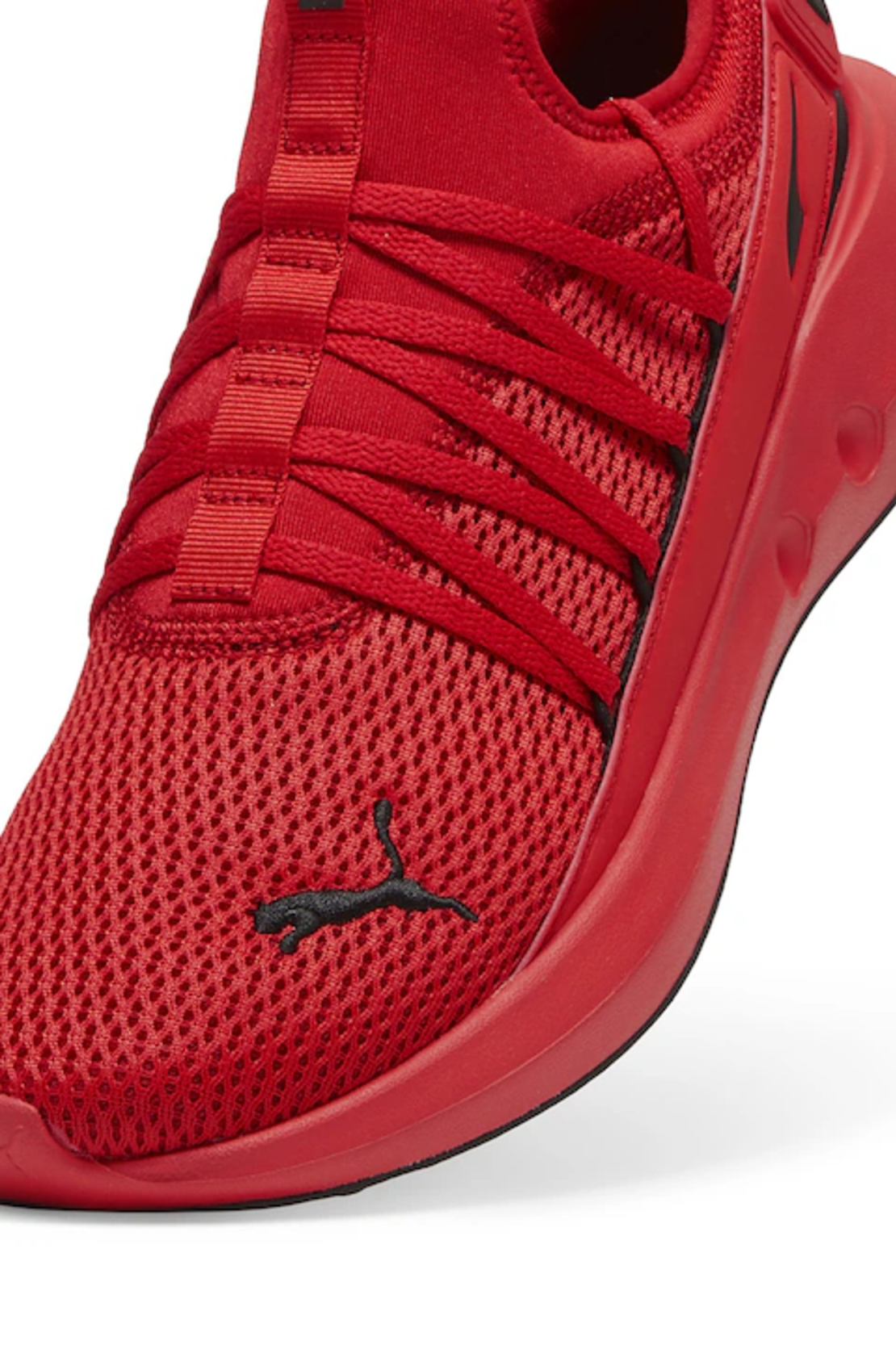 PUMA SOFTRIDE CARSON FRESH 3105503