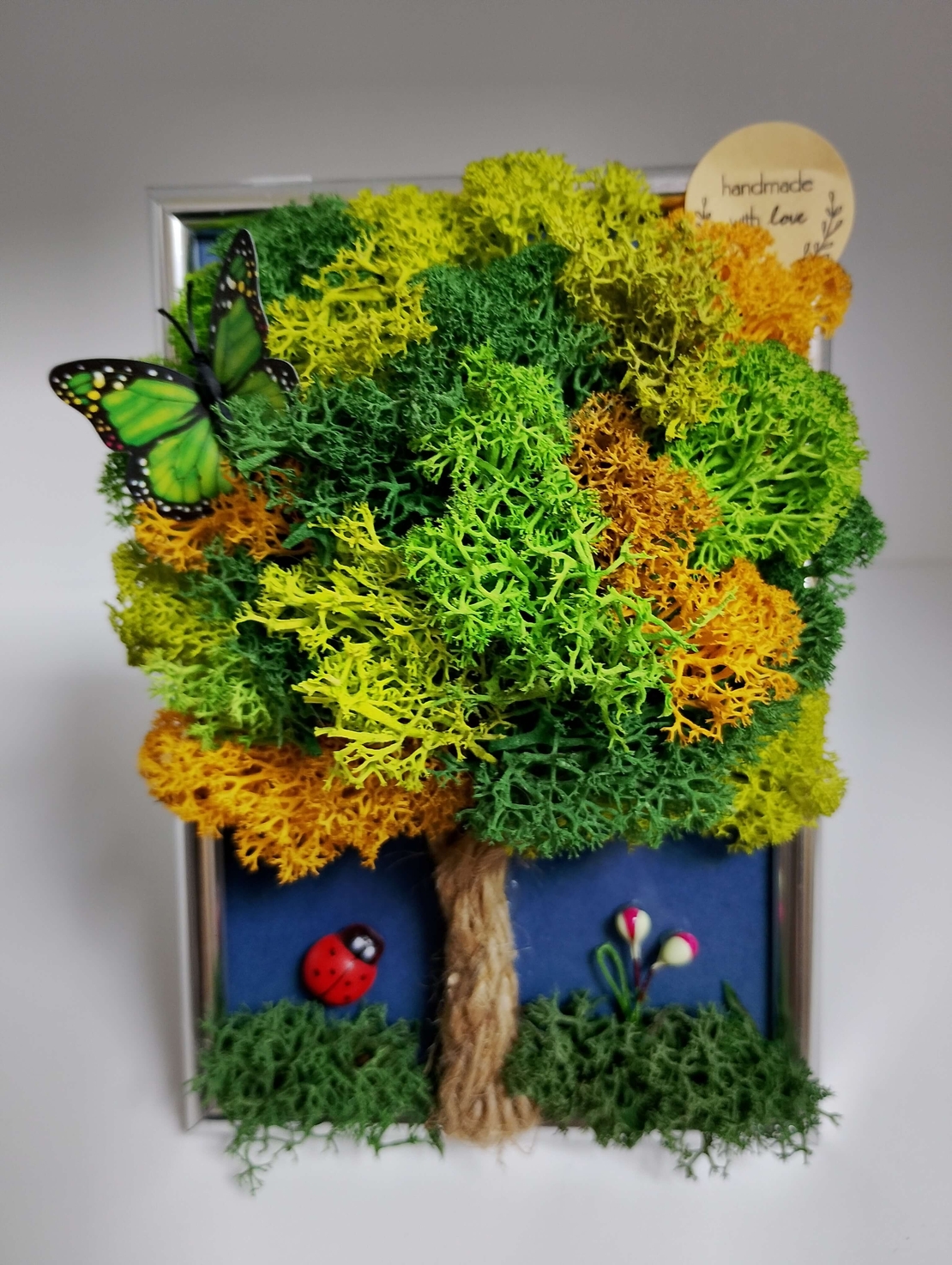 Декорация от Исландски мъх 10х15 см