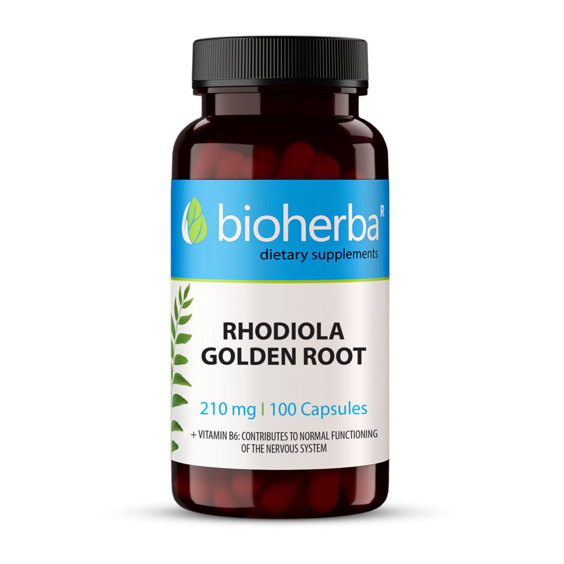 ЗЛАТЕН КОРЕН (РОДИОЛА) / RHODIOLA GOLDEN ROOT, 100 капсули, 210 мг, Биохерба