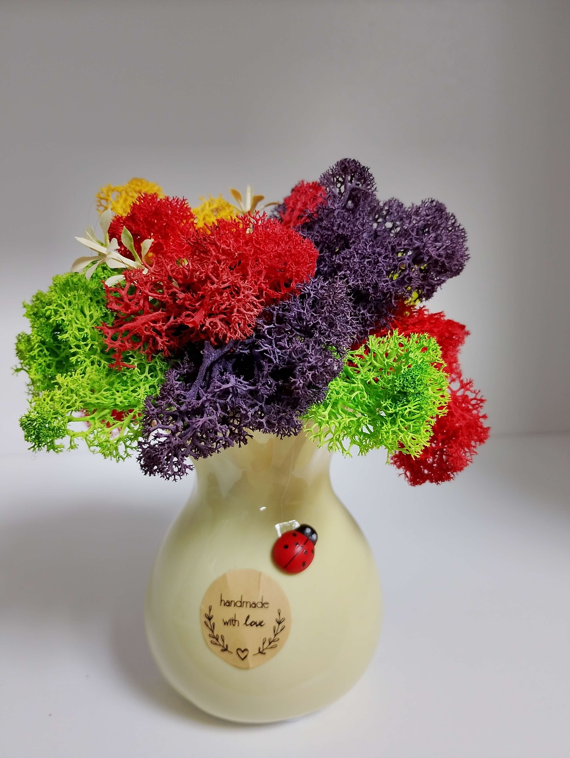 Сувенир от Исландски мъх