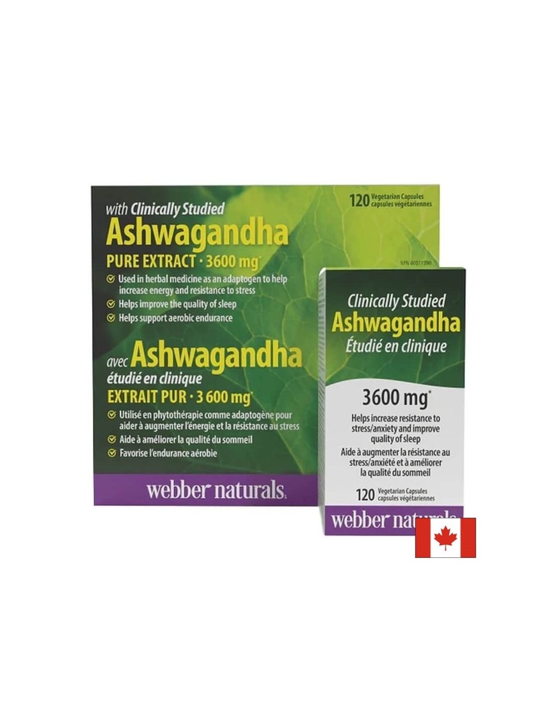 Ashwaganda / Ашваганда 300 mg x 120 капсули