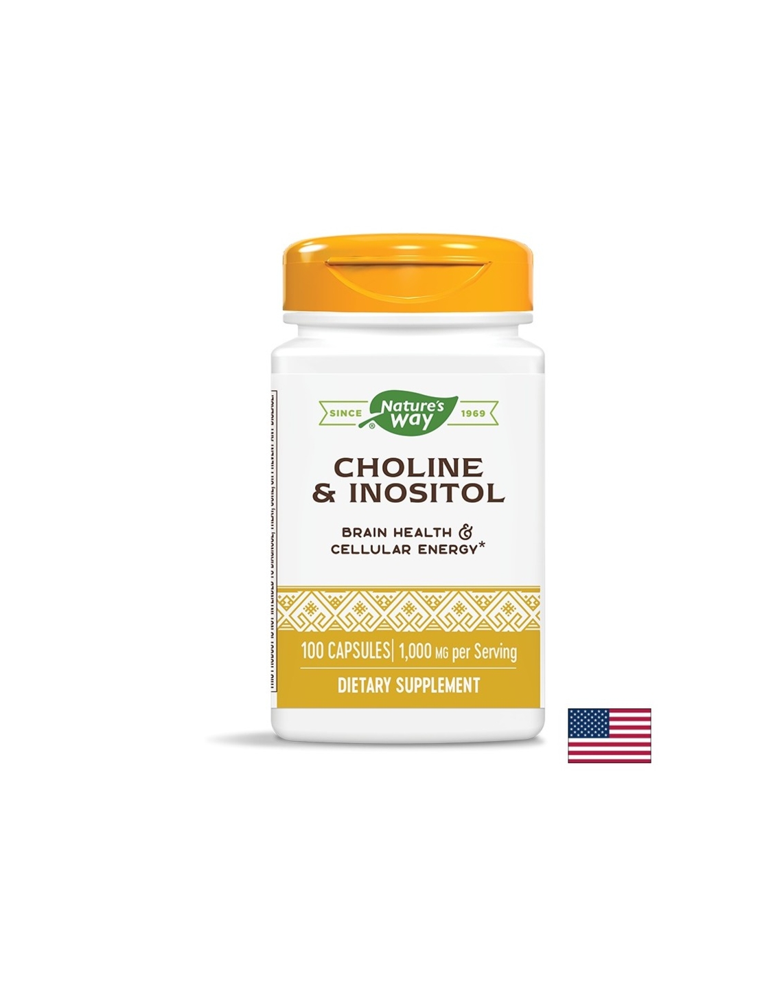 Choline & Inositol –Холин и инозитол - Невропротекция и метаболитен профил, 500 mg, 100 капсули Nature’s Way