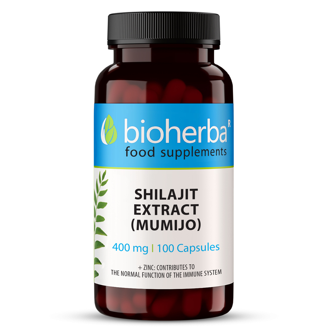 МУМИО ЕКСТРАКТ / ШИЛАДЖИТ (Shilajit Extract ), Биохерба, 400 мг. 60 капс.