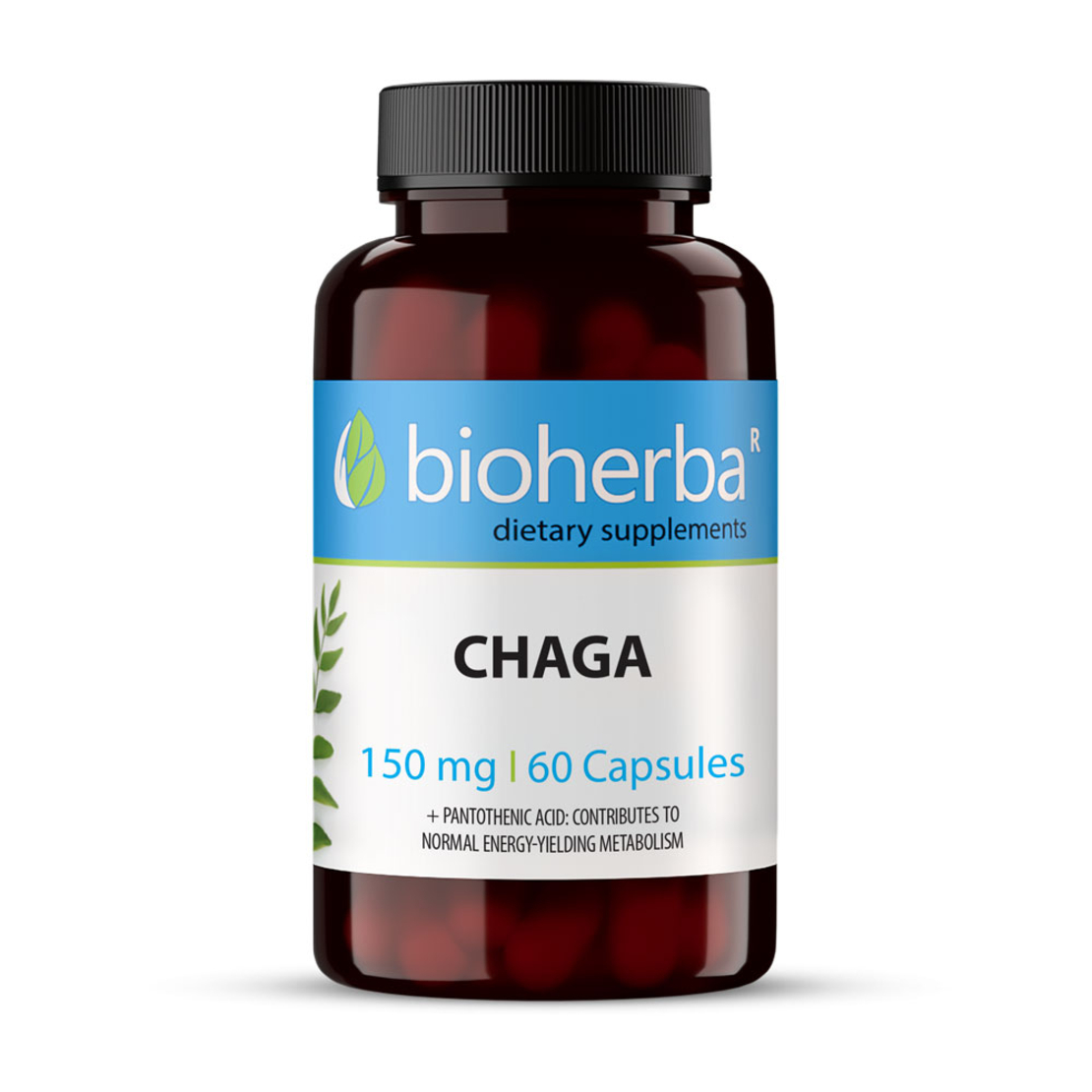 ЧАГА ГЪБА (Inonotus obliquus) / CHAGA MUSHROOM, 60 капсули, 150 мг